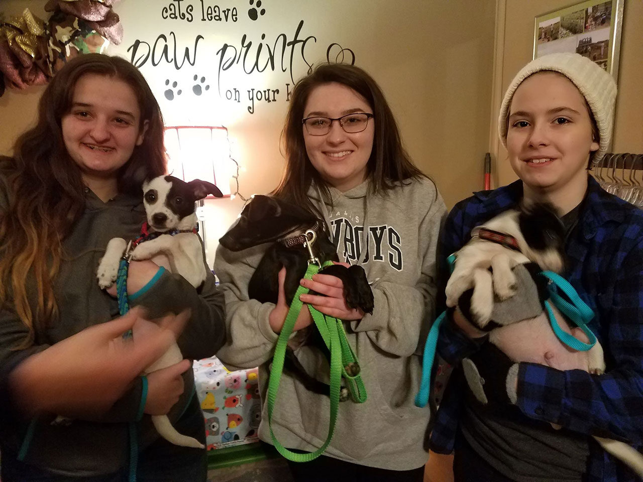 Love our student volunteers!