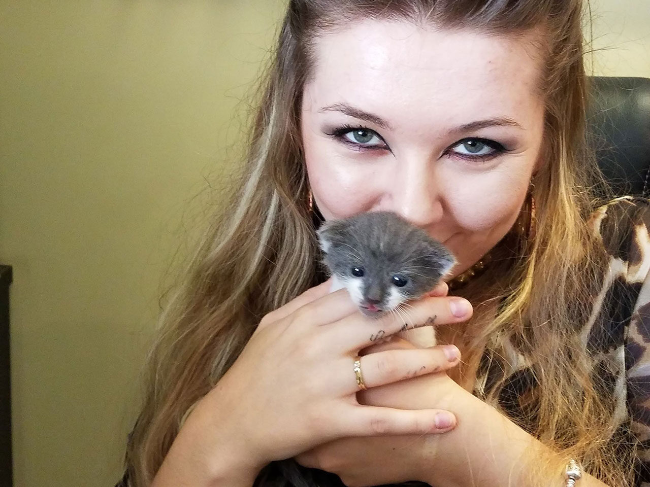 Neonatal kitten getting some snuggle time