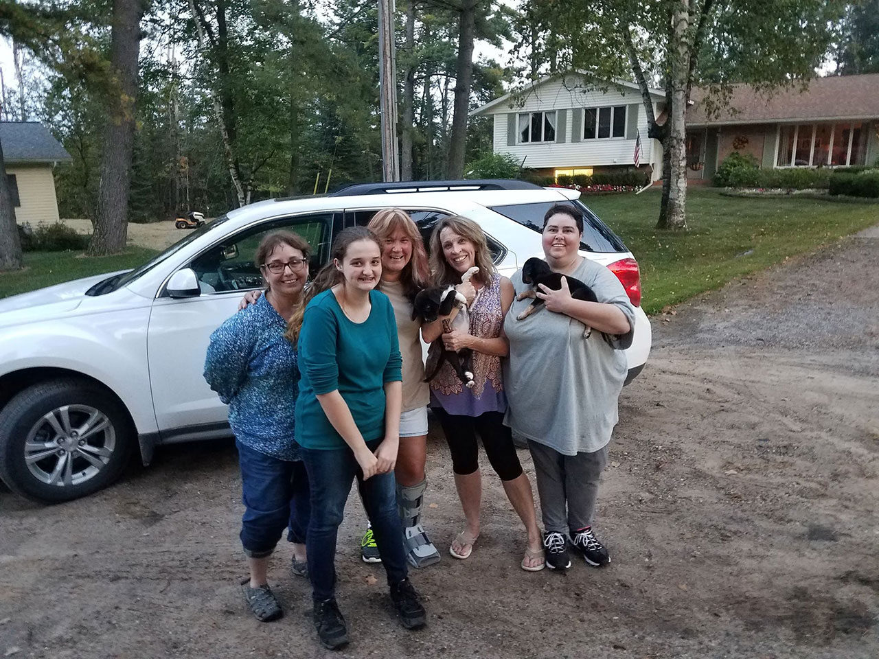 12 puppies bathed, vaccinated, dewormed and ready for their fosters