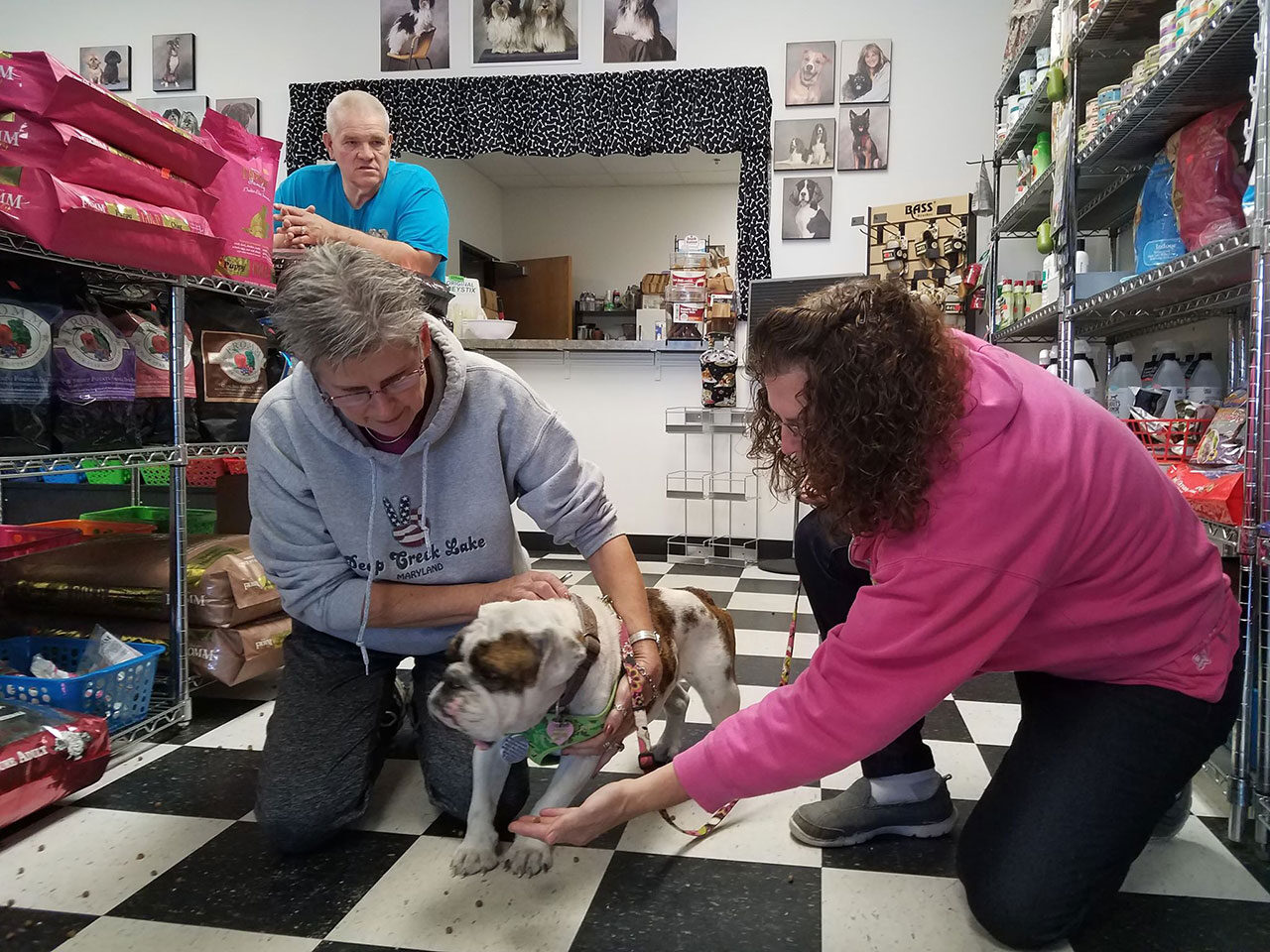 With BLANCHE our hospice dog