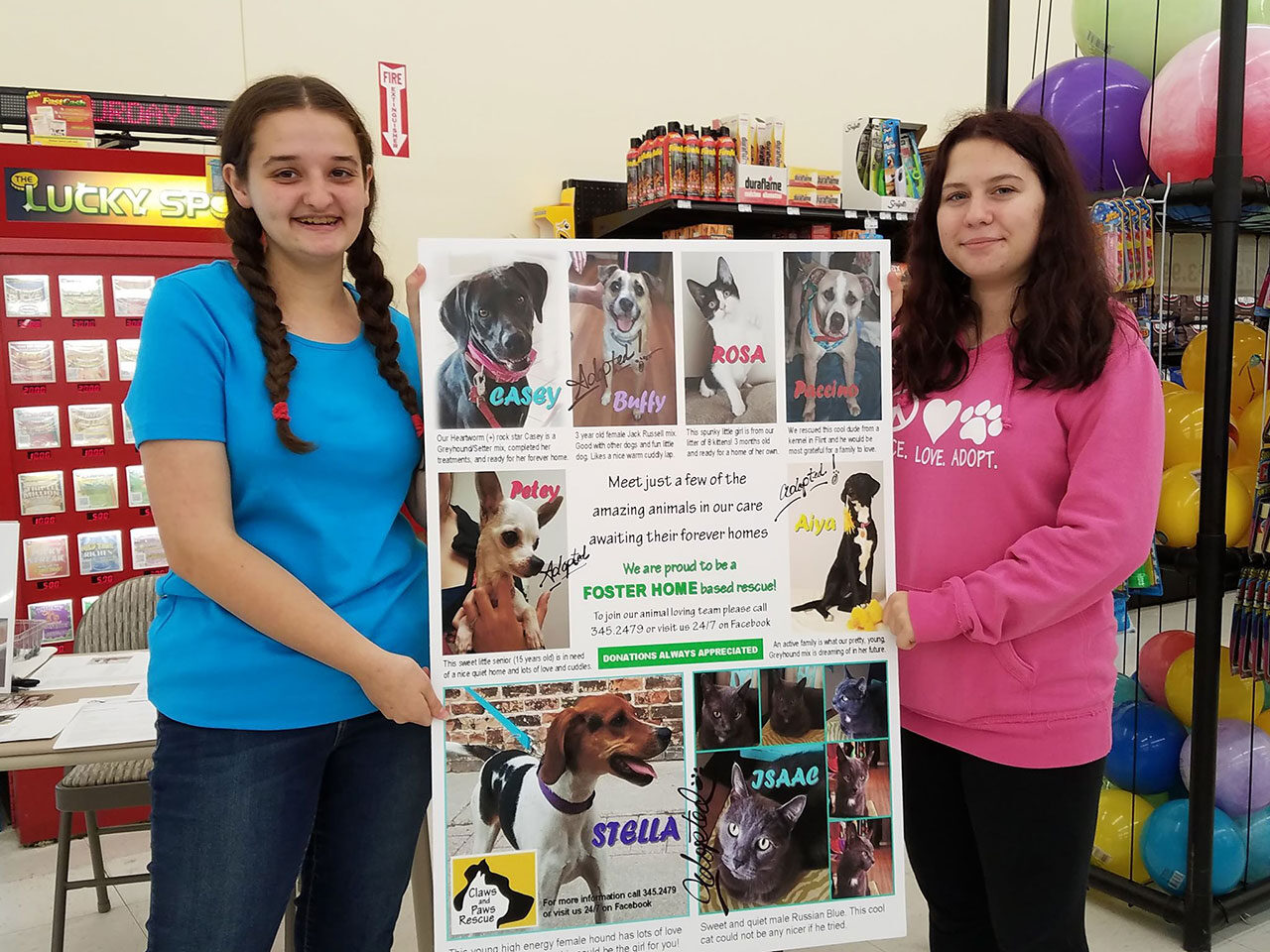 Showing off a few of our animals needing homes