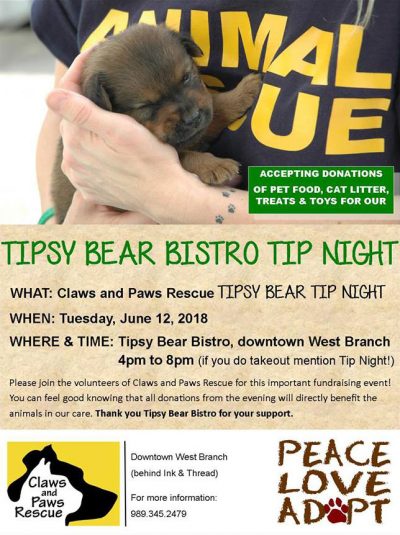 Tipsy Bear Bisto tip night